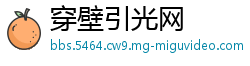 穿壁引光网